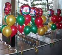 Balloon Modeller Kanturk